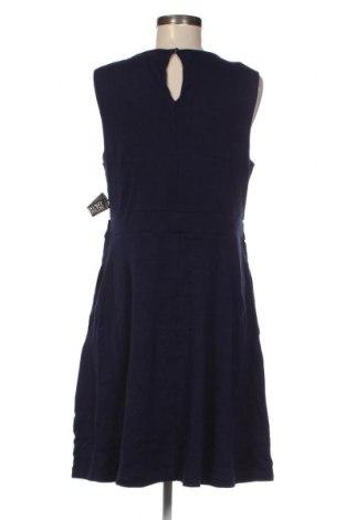 Kleid New York & Company, Größe L, Farbe Blau, Preis € 45,99