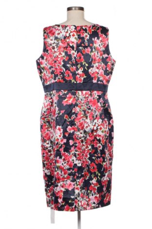 Kleid Nightingales, Größe XL, Farbe Mehrfarbig, Preis € 35,99