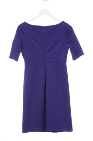 Kleid Oasis, Größe S, Farbe Lila, Preis 37,99 €