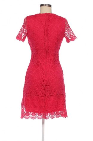 Kleid Orsay, Größe XS, Farbe Mehrfarbig, Preis € 12,99