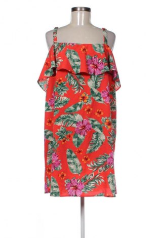 Kleid Papaya, Größe XL, Farbe Mehrfarbig, Preis € 15,58