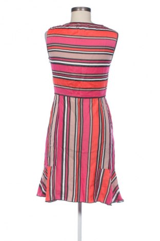 Kleid Penny Black, Größe S, Farbe Mehrfarbig, Preis € 66,50