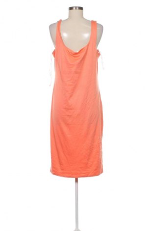Kleid Primark, Größe XXL, Farbe Rosa, Preis 19,99 €
