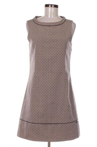 Kleid Skunkfunk, Größe L, Farbe Mehrfarbig, Preis € 27,99