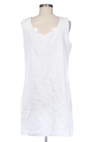 Kleid Sweet Miss, Größe XL, Farbe Mehrfarbig, Preis € 17,99