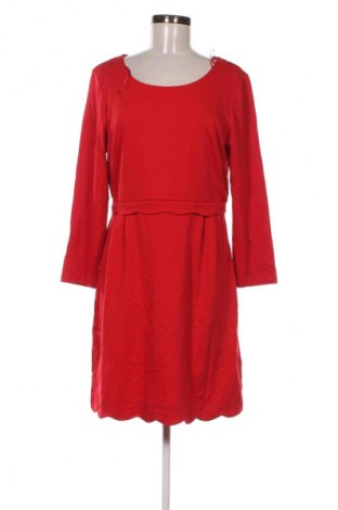 Kleid Tahari, Größe L, Farbe Rot, Preis 132,99 €
