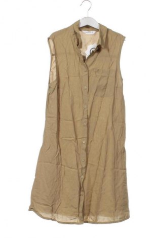 Kleid Terranova, Größe XS, Farbe Grün, Preis € 25,00