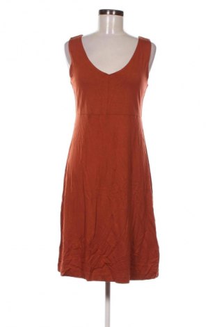 Kleid Tom Tailor, Größe M, Farbe Orange, Preis 28,99 €