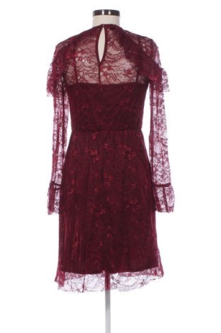 Kleid Warehouse, Größe M, Farbe Rot, Preis 33,99 €