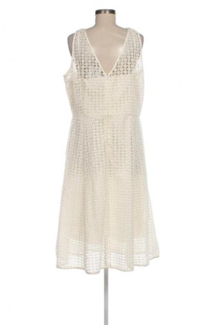Kleid White House / Black Market, Größe XL, Farbe Ecru, Preis € 107,99