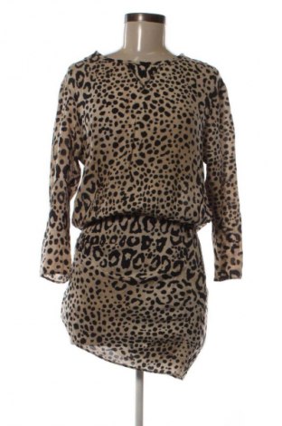 Kleid Zara, Größe XS, Farbe Mehrfarbig, Preis € 13,80