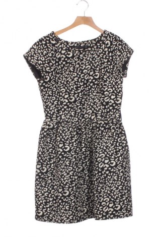 Kleid Zara, Größe XS, Farbe Mehrfarbig, Preis € 13,81