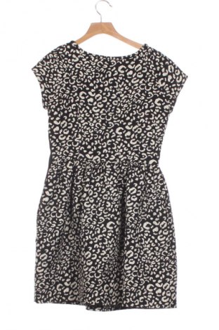 Kleid Zara, Größe XS, Farbe Mehrfarbig, Preis € 13,81