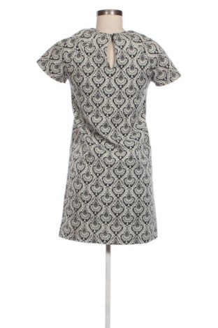 Kleid Zara, Größe XS, Farbe Mehrfarbig, Preis € 14,00