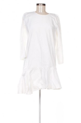 Kleid Zara Trafaluc, Größe L, Farbe Weiß, Preis € 15,99