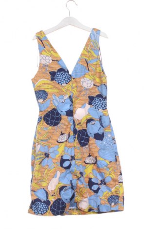 Kleid Zara Trafaluc, Größe XS, Farbe Mehrfarbig, Preis € 18,99