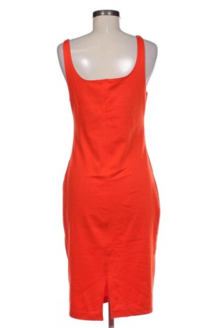 Kleid Zara Trafaluc, Größe XL, Farbe Orange, Preis € 13,99