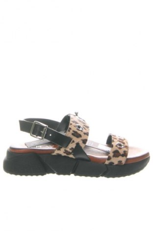 Sandalen Replay, Größe 38, Farbe Mehrfarbig, Preis € 150,29