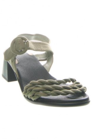 Sandalen Scholl, Größe 38, Farbe Grün, Preis € 20,97