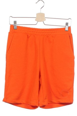 Γυναικείο κοντό παντελόνι Noisy May, Μέγεθος XS, Χρώμα Πορτοκαλί, 55% βαμβάκι, 45% πολυεστέρας, Τιμή 16,42 €