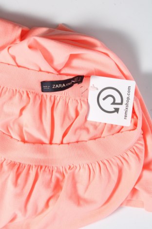 Kleid Zara Knitwear, Größe S, Farbe Rosa, Preis 22,27 €