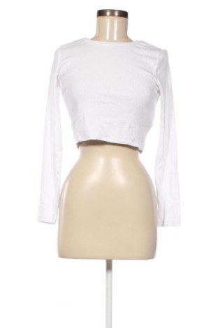 Γυναικεία μπλούζα Even&Odd, Μέγεθος L, Χρώμα Λευκό, Τιμή 6,71 €