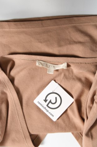 Damen Shirt Review, Größe S, Farbe Braun, Preis 4,82 €