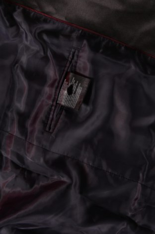 Pánske sako  C&A, Veľkosť L, Farba Sivá, Cena  24,95 €