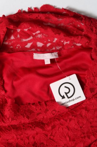 Damen Shirt, Größe S, Farbe Rot, Preis € 3,99