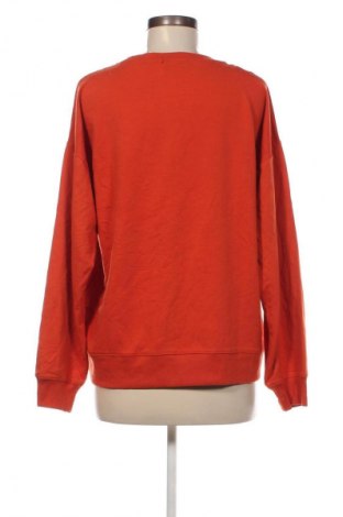 Damen Shirt Ambiance, Größe L, Farbe Orange, Preis 6,49 €