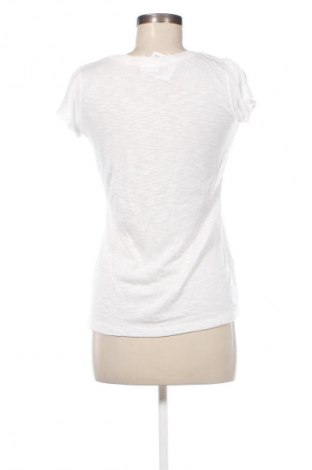 Damen Shirt Colloseum, Größe S, Farbe Weiß, Preis € 3,99