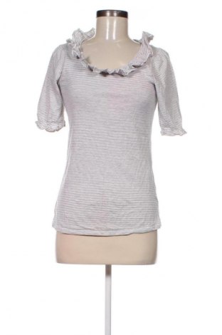 Damen Shirt Dorothy Perkins, Größe L, Farbe Mehrfarbig, Preis 6,99 €