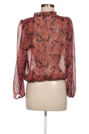 Damen Shirt Dorothy Perkins, Größe L, Farbe Mehrfarbig, Preis 22,49 €