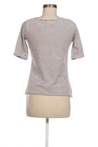 Damen Shirt Essentials by Tchibo, Größe S, Farbe Mehrfarbig, Preis € 4,49