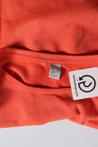 Damen Shirt H&M, Größe S, Farbe Orange, Preis 4,99 €