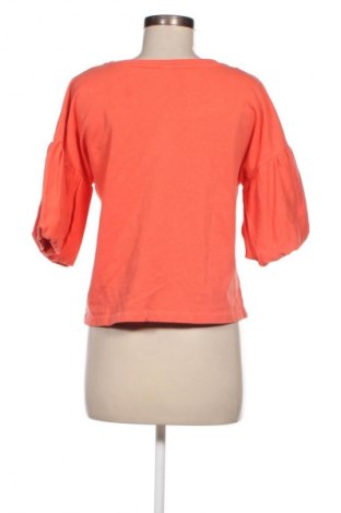 Damen Shirt H&M, Größe S, Farbe Orange, Preis € 4,99