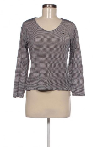 Damen Shirt Lacoste, Größe M, Farbe Mehrfarbig, Preis 26,99 €