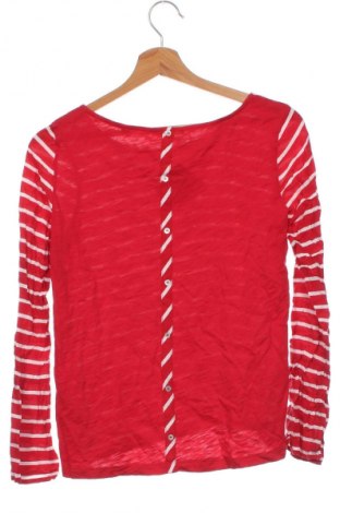 Damen Shirt S.Oliver, Größe XS, Farbe Rot, Preis 10,99 €