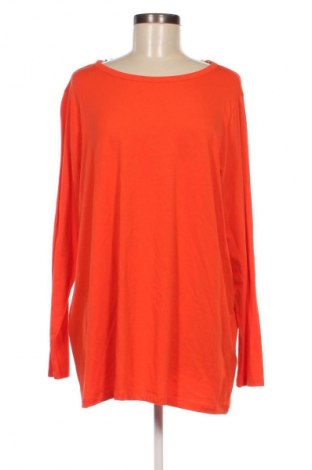 Damen Shirt Tom Tailor, Größe XXL, Farbe Orange, Preis 10,99 €