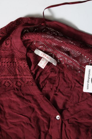 Damenbluse Esprit, Größe L, Farbe Rot, Preis 3,99 €