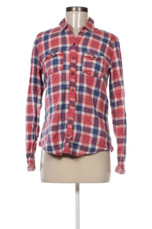 Damenbluse Hollister, Größe L, Farbe Mehrfarbig, Preis € 23,99