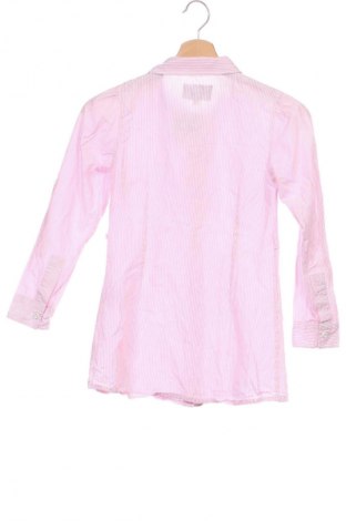 Damenbluse Jean Paul, Größe M, Farbe Rosa, Preis 4,99 €