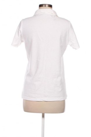 Damen T-Shirt Stedman, Größe L, Farbe Weiß, Preis € 1,99