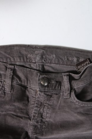 Pantaloni de velvet de femei 7 For All Mankind, Mărime XS, Culoare Gri, Preț 299,99 Lei