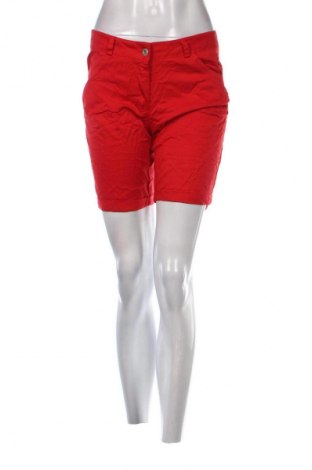 Damen Shorts, Größe M, Farbe Rot, Preis € 13,49