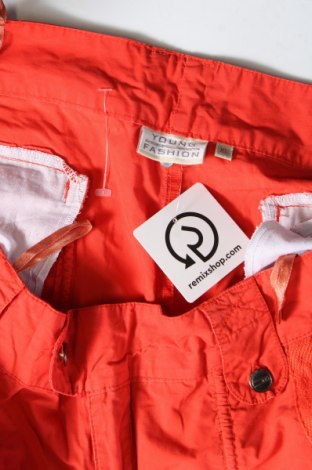 Damen Shorts, Größe XL, Farbe Rot, Preis € 5,49