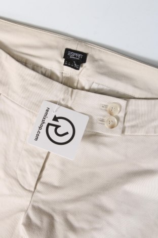 Damen Shorts Esprit, Größe XS, Farbe Beige, Preis 10,99 €