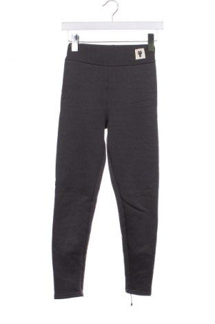 Damen Leggings, Größe S, Farbe Grau, Preis € 6,49