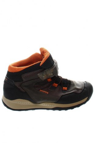 Damenschuhe Geox, Größe 38, Farbe Mehrfarbig, Preis € 31,49