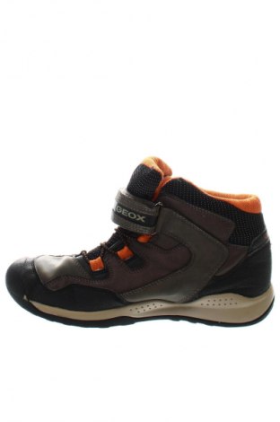 Damenschuhe Geox, Größe 38, Farbe Mehrfarbig, Preis 40,49 €